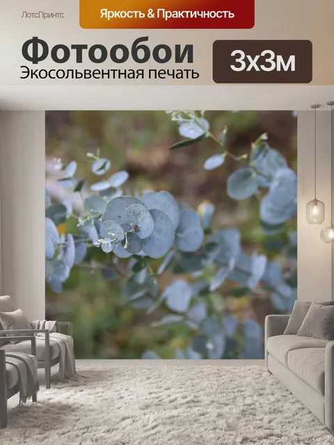 Фотообои Эвкалипт