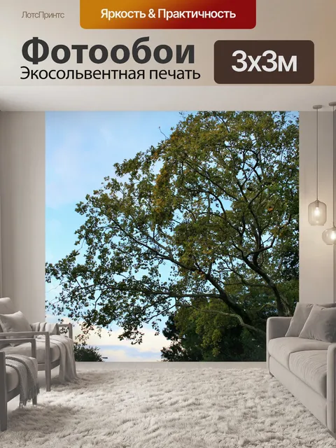 Фотообои большой платан
