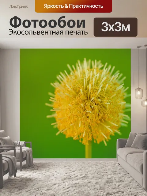 Фотообои Зеленое семя Белый цветок попинака