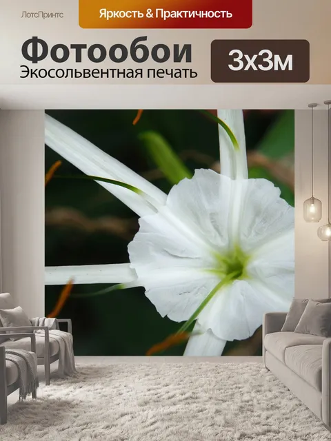 Фотообои Цветок