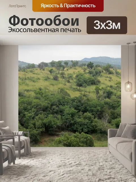 Фотообои Растительность на холме