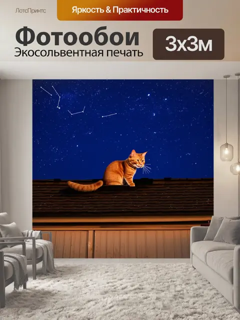 Фотообои изображение рыжей кошки