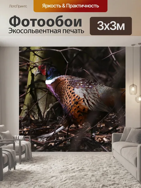 Фотообои Птица