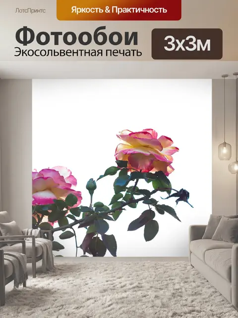 Фотообои Цветы