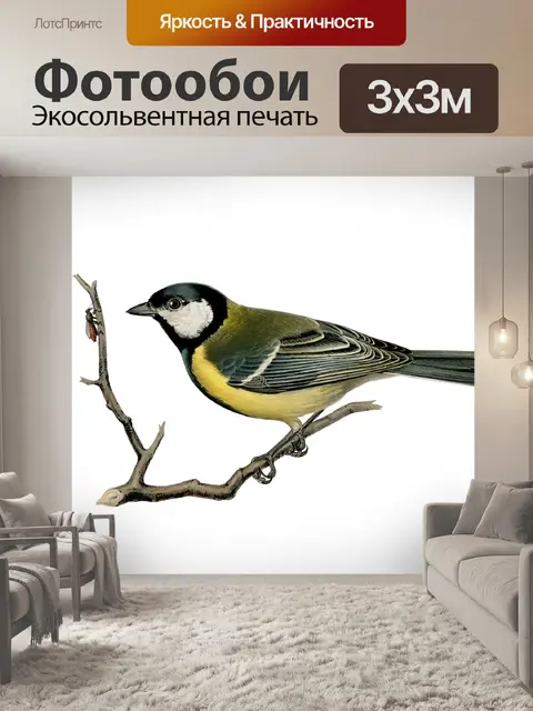 Фотообои Винтажная художественная иллюстрация пти