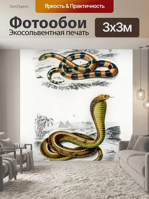 Фотообои Змея рептилия старинное искусство