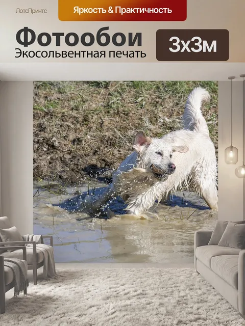 Фотообои Животное