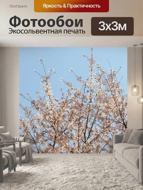 Фотообои Цветок