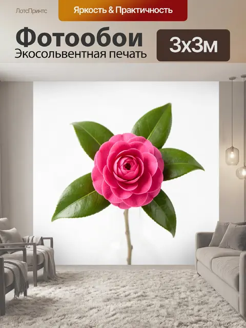 Фотообои Розовый цветок с зелёными листьями