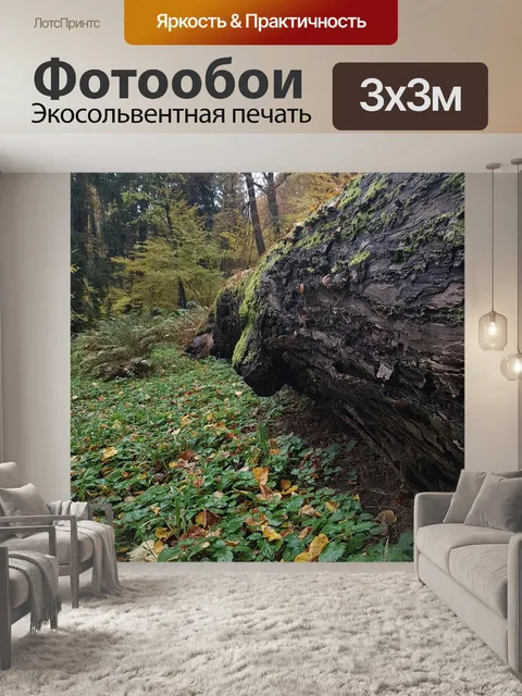 Фотообои Лес