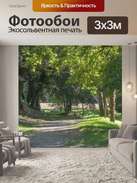Фотообои Путь