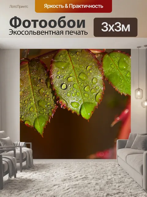 Фотообои Роза