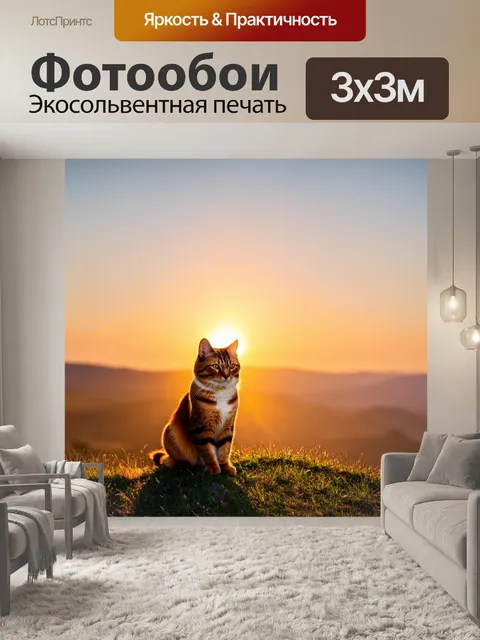 Фотообои кот, сидящий на вершине холма, наблюдающий за закатом