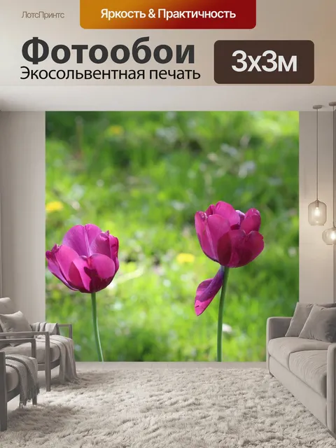 Фотообои Природа