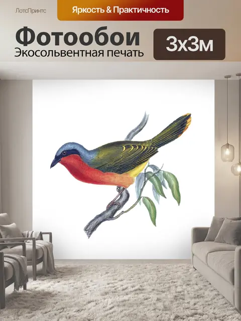 Фотообои Птица прозрачный винтаж арт