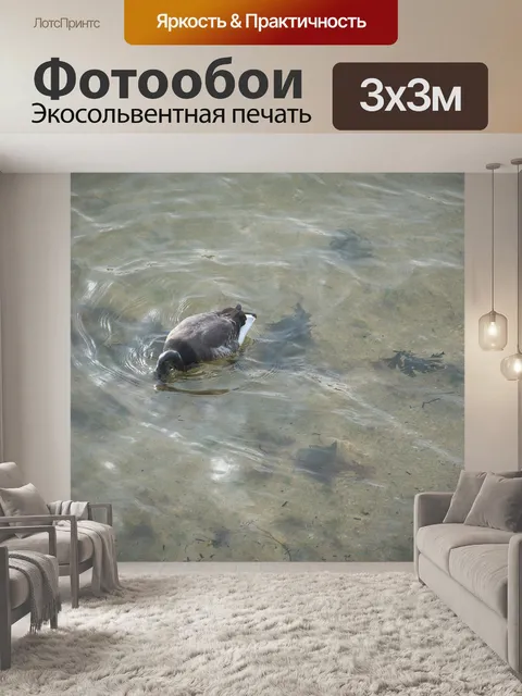 Фотообои Дикий гусь