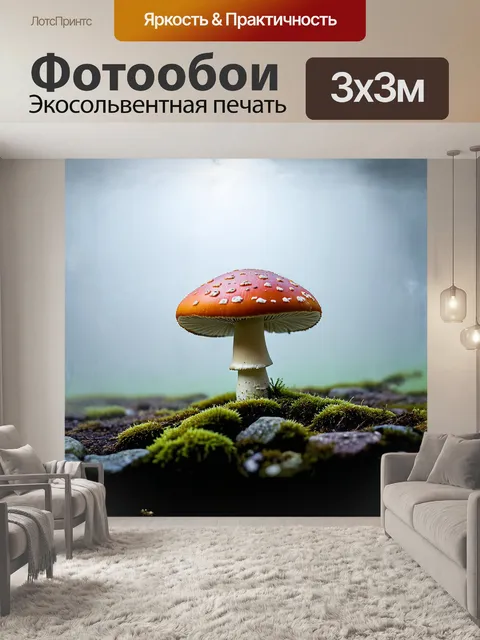 Фотообои удивительный мухомор, окруженный мшистыми камнями, погружен в туманное утро