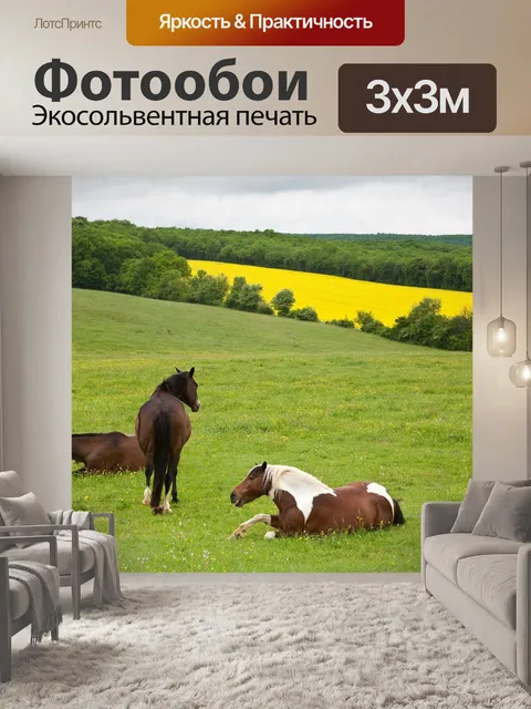 Фотообои Лошади