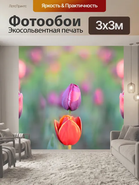 Фотообои Тюльпаны