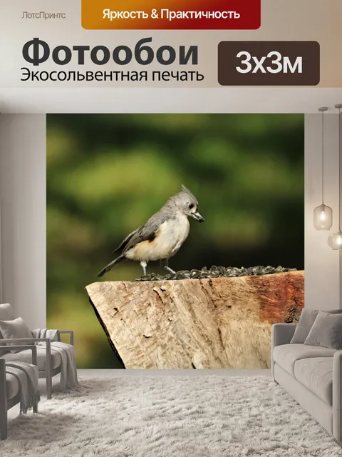 Фотообои Хохлатая синичка на пеньке