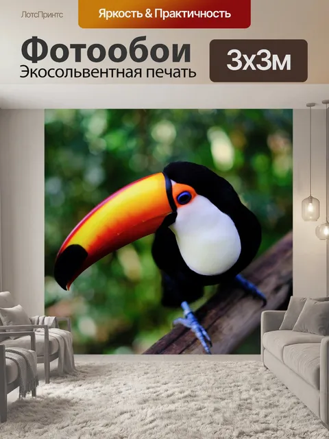 Фотообои Тукан