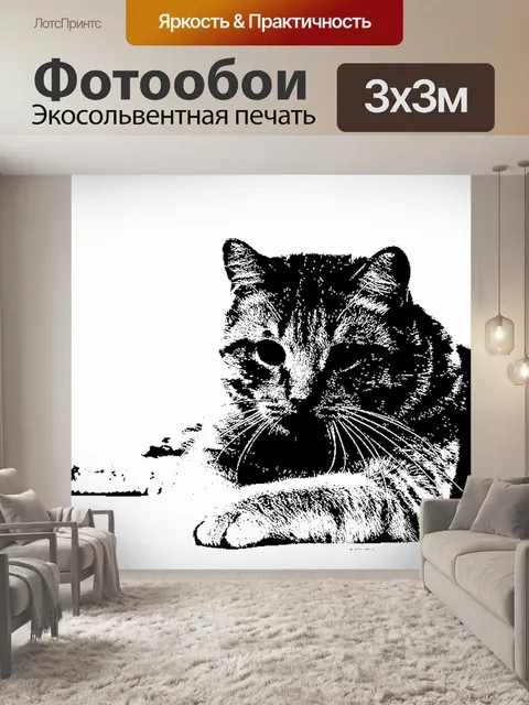 Фотообои Силуэт кошки