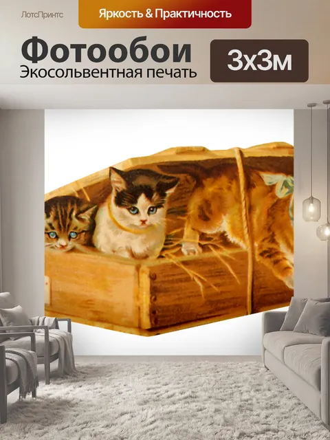 Фотообои Старинные кошки