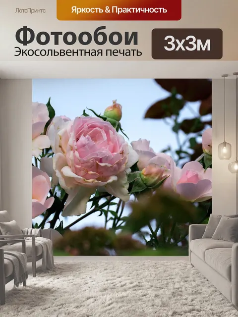 Фотообои Розы