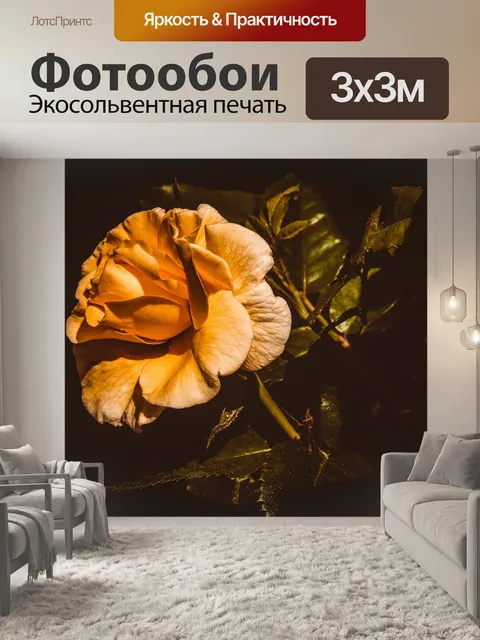 Фотообои Роза