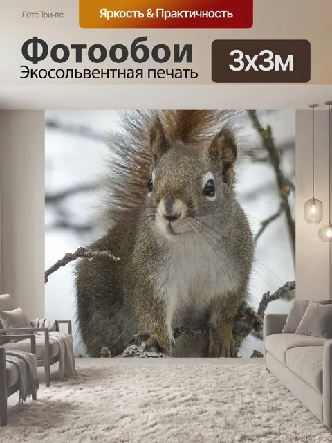 Фотообои Белка