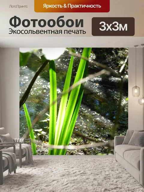 Фотообои Лист ириса в болоте