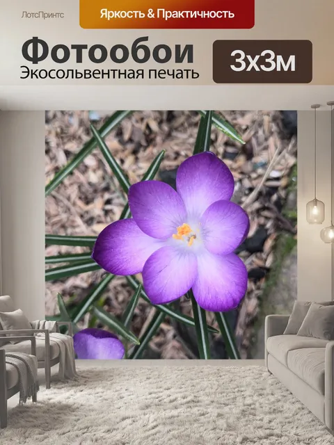 Фотообои Flowers