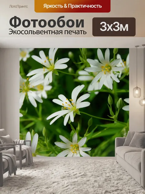 Фотообои Цветы