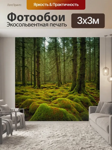 Фотообои лес с мрачными деревьями и обрывком, покрытым мхом на земле