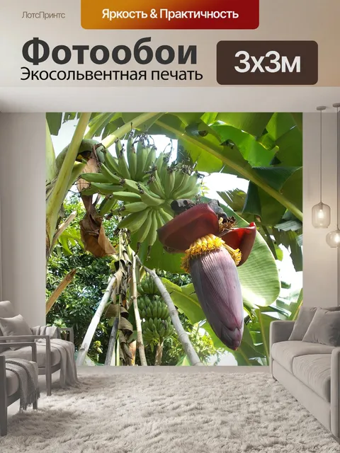 Фотообои Красные цветы банана