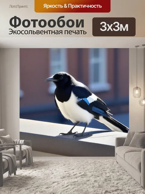 Фотообои на крыше