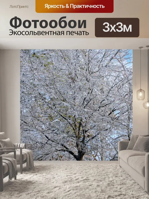 Фотообои Лед, покрытый деревьями