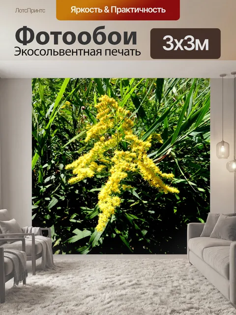 Фотообои Золотисто-2014 (1)