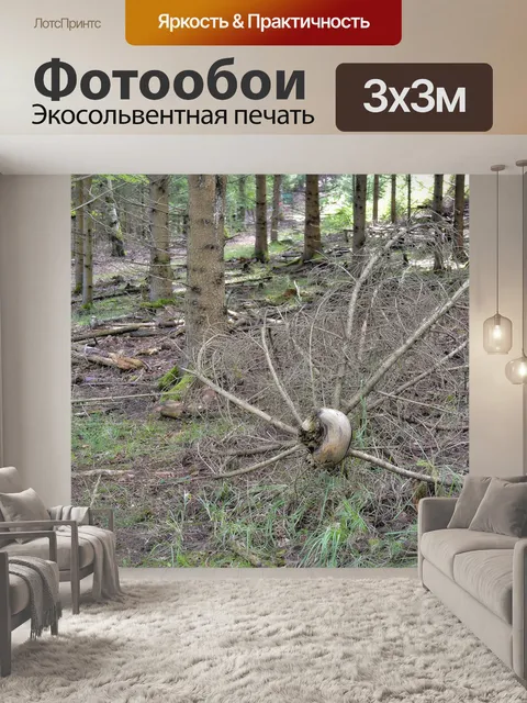 Фотообои Природа