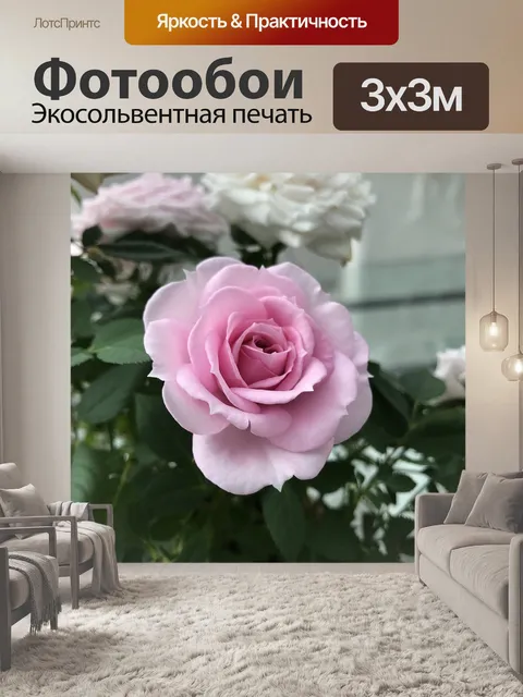 Фотообои Роза