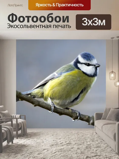 Фотообои Весенняя синяя синица