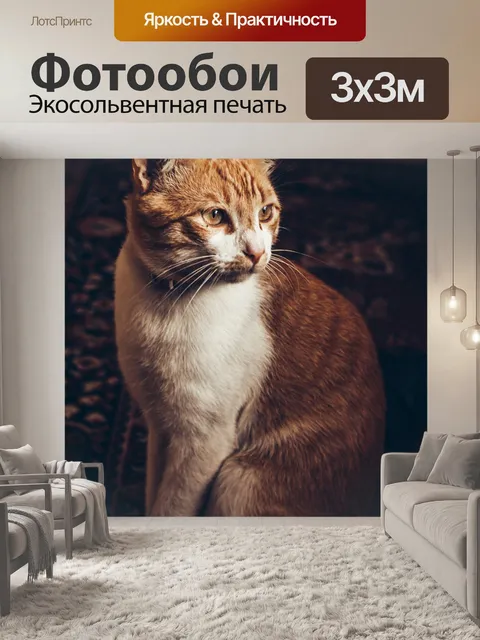 Фотообои Кошка