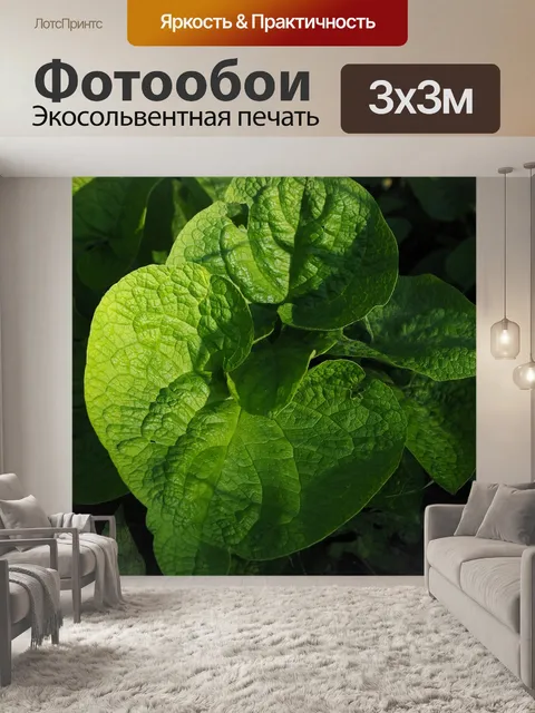 Фотообои Листья