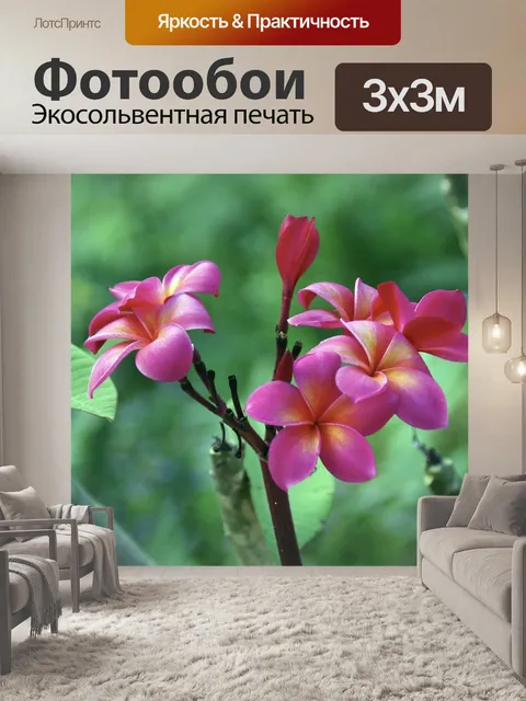 Фотообои Франжипани