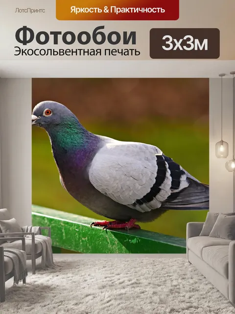 Фотообои Птица