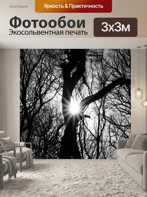 Фотообои Деревья