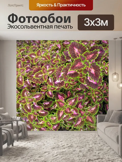 Фотообои форме бабочки листья фон
