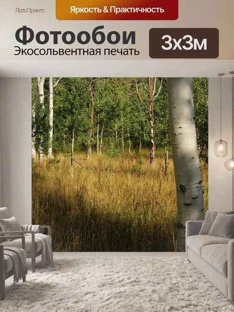 Фотообои Березы