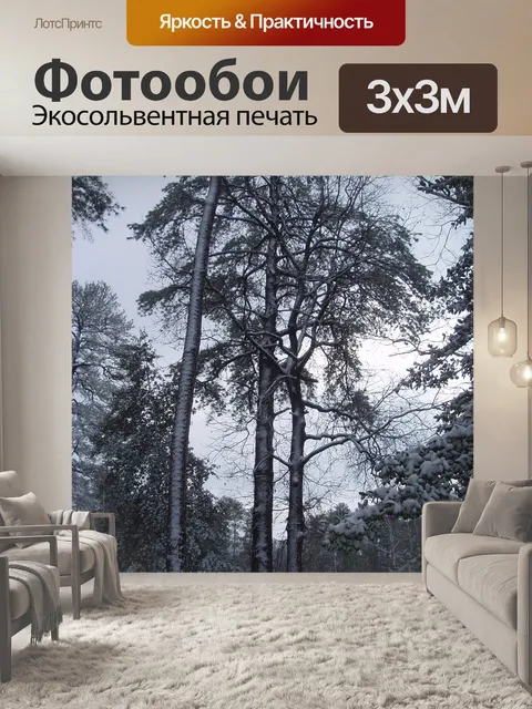 Фотообои Высокие снежные деревья