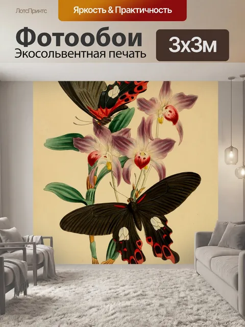 Фотообои Бабочки Винтажное Искусство